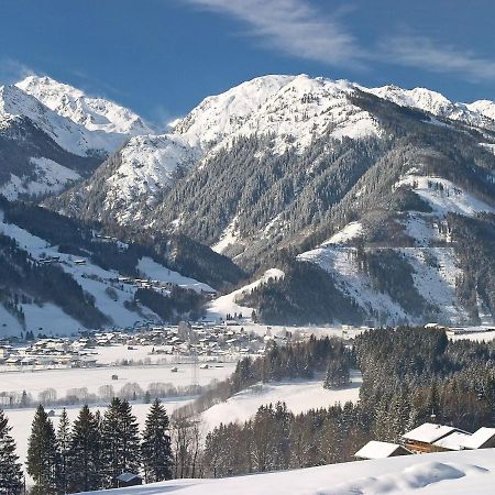 Chalet Freiblick Kleinhaid, Hollersbach Холерсбах им Пинцгау Екстериор снимка