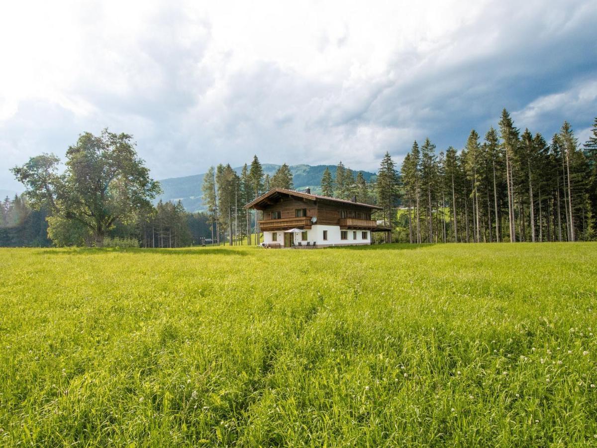 Chalet Freiblick Kleinhaid, Hollersbach Холерсбах им Пинцгау Екстериор снимка