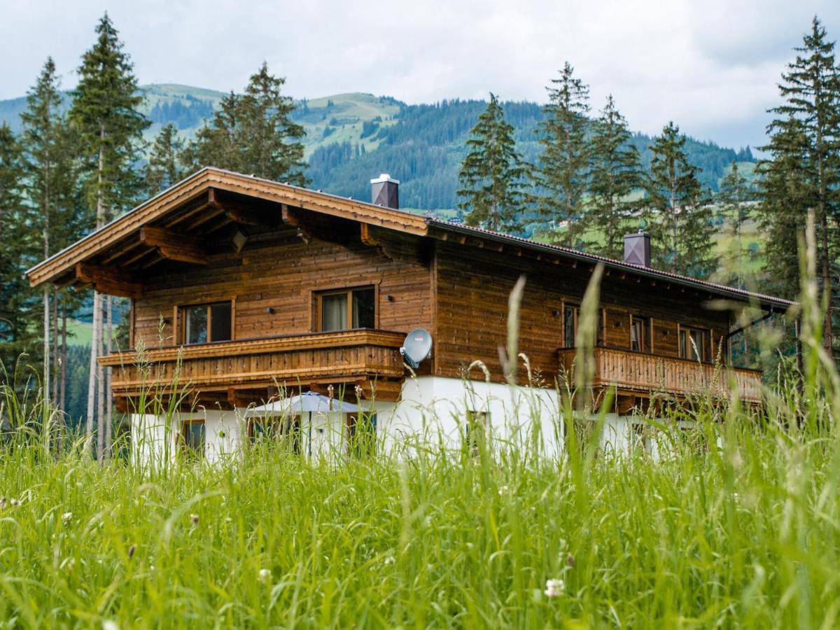 Chalet Freiblick Kleinhaid, Hollersbach Холерсбах им Пинцгау Екстериор снимка