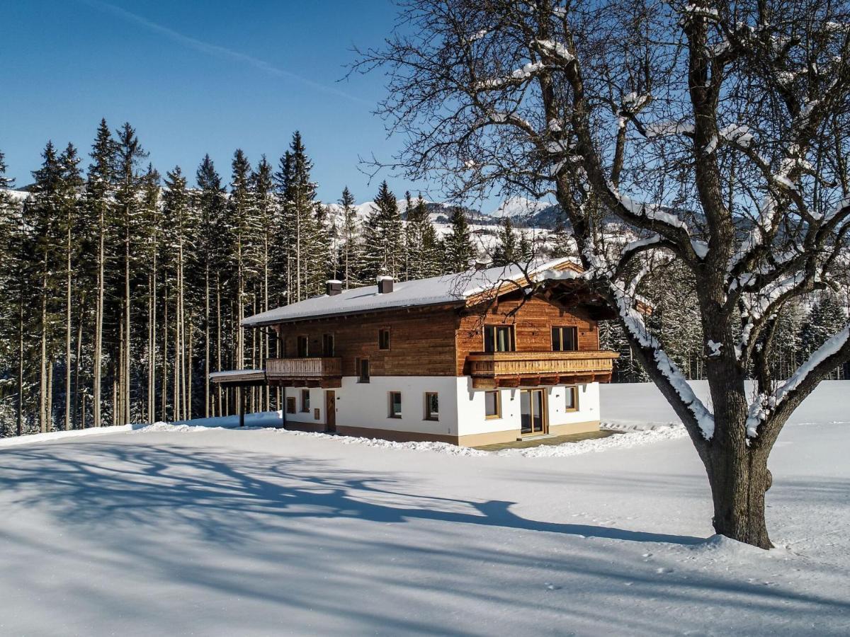 Chalet Freiblick Kleinhaid, Hollersbach Холерсбах им Пинцгау Екстериор снимка
